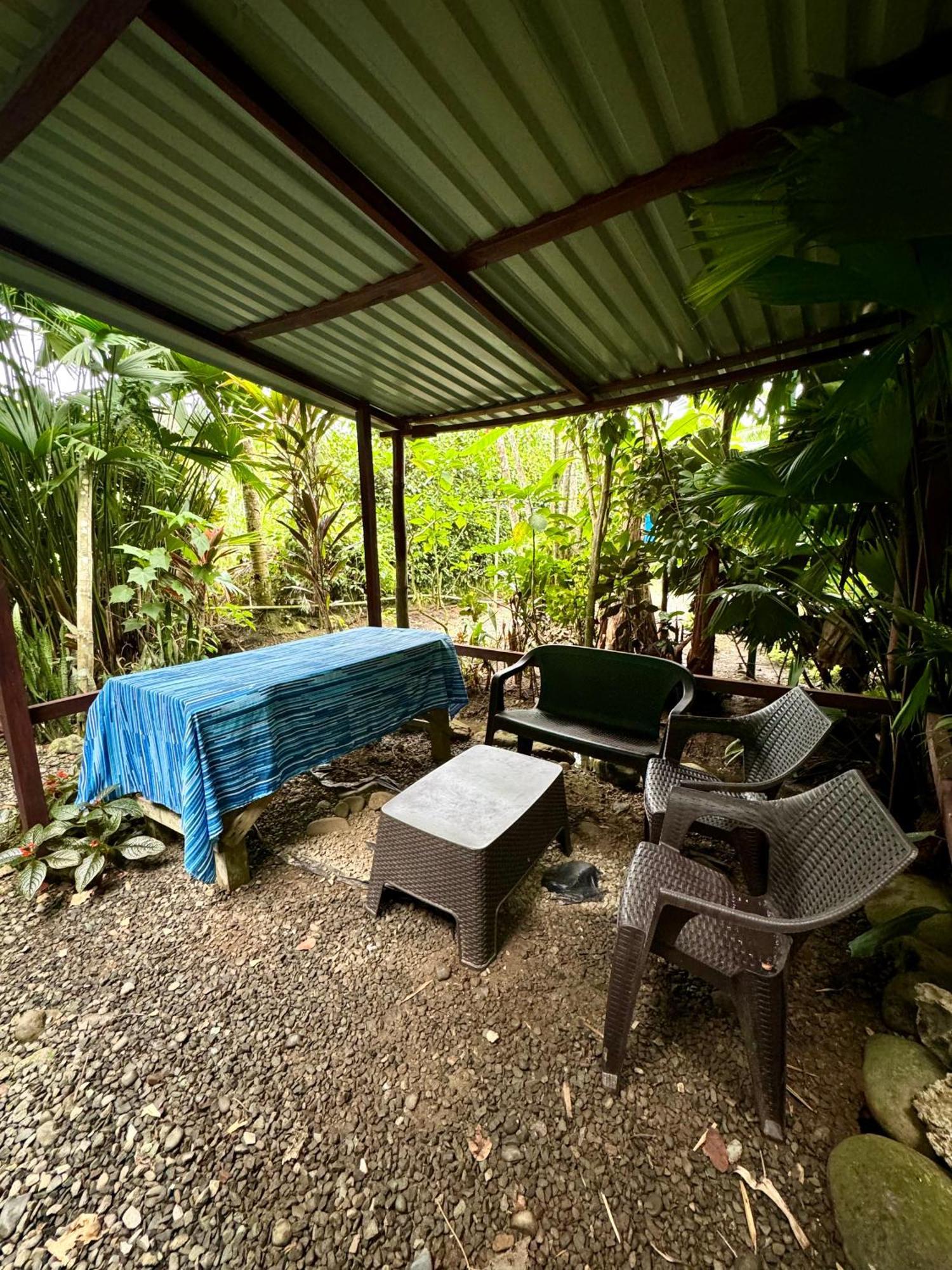 Hidden Jungle Beach House Puerto Viejo de Talamanca Exterior foto